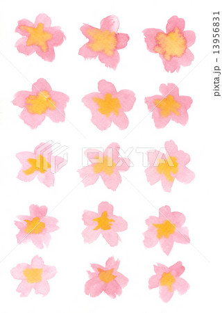 ソフトピンク色の水彩小花１５個 13956831