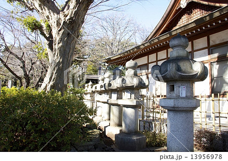 松陰神社 13956978