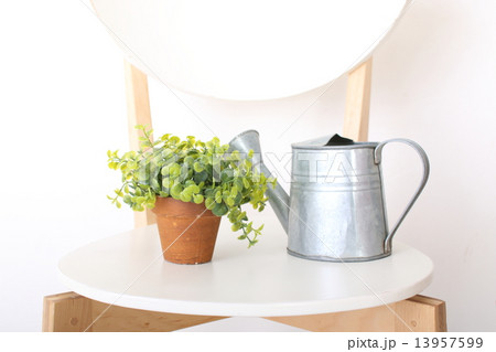 椅子の上のグリーンとジョーロ 13957599