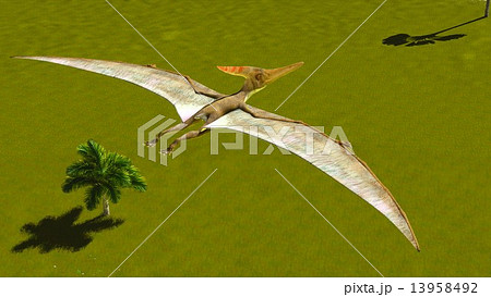 Flying pterodactyl Flying pterodactyl 13958492