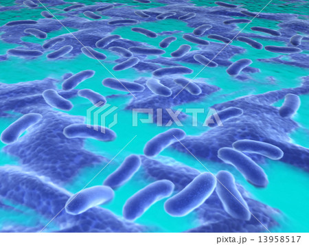 Bacteria in the liquid Bacteria in the liquid 13958517