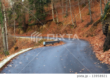Road in autumn forest landscape 13958921