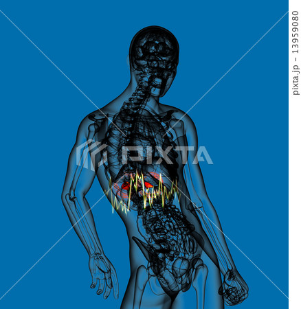 3d render medical illustration of the  adrenal  pain 13959080