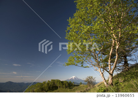 白谷丸からの富士山 13960655