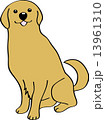 犬イラスト 13961310