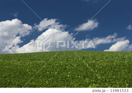 農業地帯 13961523