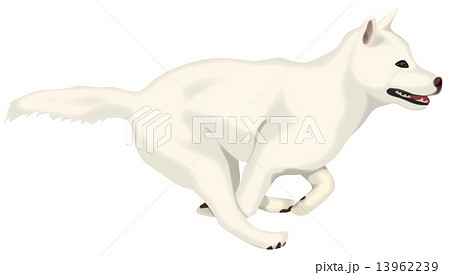 Dog Running At Full Speed Stock Illustration