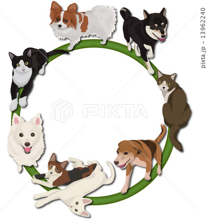 犬と猫の輪のイラスト素材