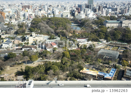 通天閣から見た光景 通天閣から見た光景 13962263