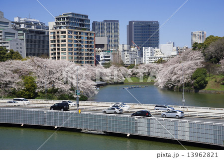 千鳥ヶ淵の桜と首都高速 13962821