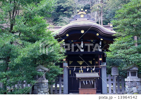 雨上がりの鎌倉鶴岡八幡宮を訪れて 雨上がりの鎌倉鶴岡八幡宮を訪れて 13964542