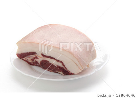 猪肉 13964646