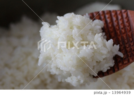 圧力鍋で炊いた金芽米の炊き立てご飯と木製しゃもじ 13964939