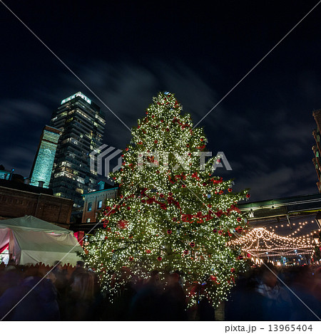 Christmas celebration Christmas celebration 13965404