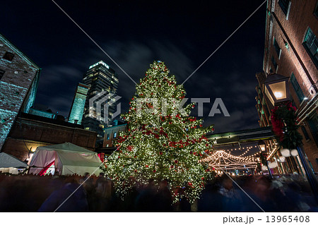 Christmas celebration Christmas celebration 13965408