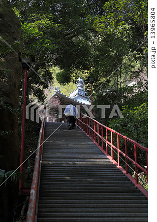 四国霊場第71番札所「弥谷寺」大師堂へ向かう「百八階段」を上るお遍路さん 13965804