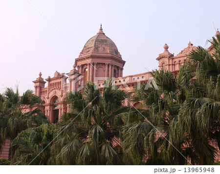 ピンクパレス 13965948