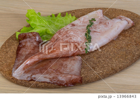 Raw squids 13966843