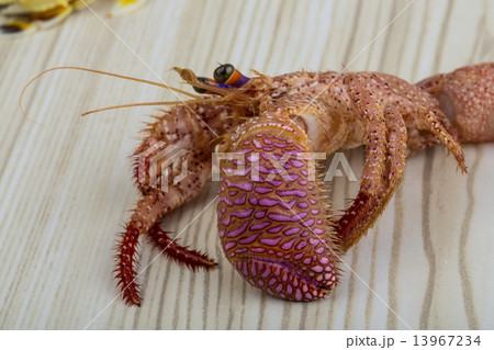 Raw crabs 13967234