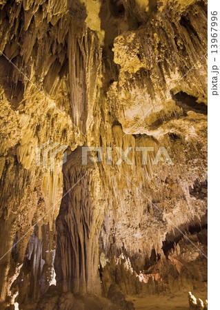 Carlsbad Caverns National Park 13967996