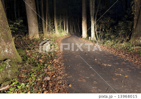 Road in Smoky Mountains 13968015