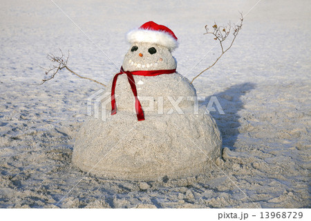 Chiristmas in Florida Chiristmas in Florida 13968729