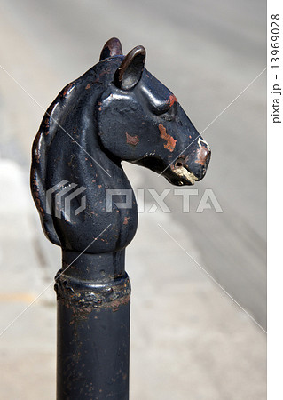Metal horse 13969028