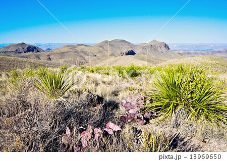 Landscape of Big Bend 13969650
