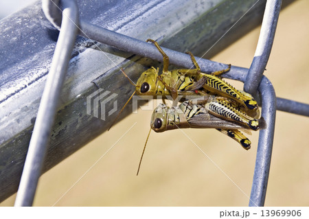 Is this Love? 13969906