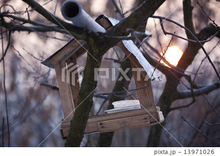 Bird house 13971026