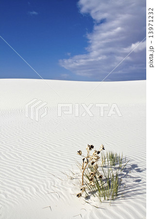 Sand Patterns in White Dunes National Monument 13971232