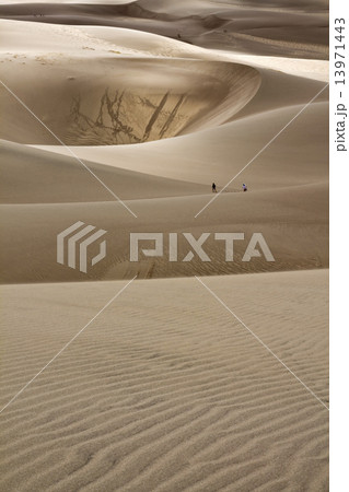 Waking the Dunes Waking the Dunes 13971443