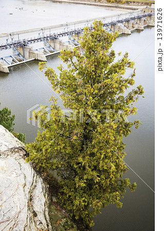 Tree hanging over abyss Tree hanging over abyss 13971626