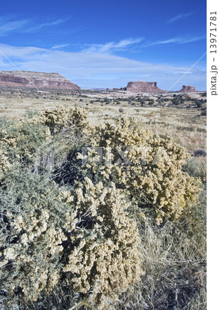 Canyonlands National Park in Utah Canyonlands National Park in Utah 13971781