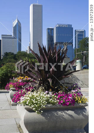 Flowers in downtown Chicago 13971939