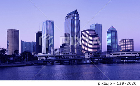 Tampa - twiglight Tampa - twiglight 13972020