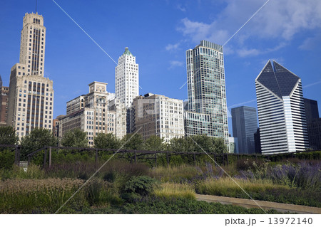 Prairie in the middle of downtown 13972140