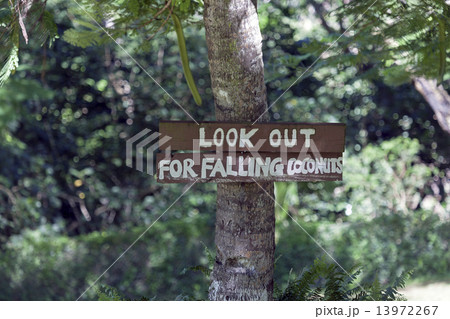 Look out for falling coconuts 13972267
