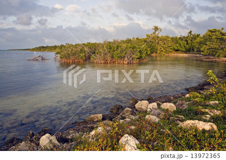 Biscayne National Park 13972365