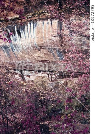 Colors of Zion National Park 13972795