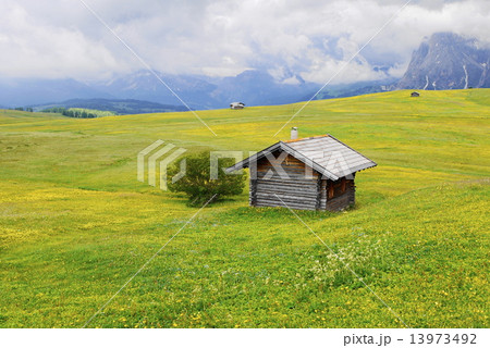 アルぺ・ディ・シウージ　alpe　di　siusi　　ザイザー・アルム　seiser　alm 13973492
