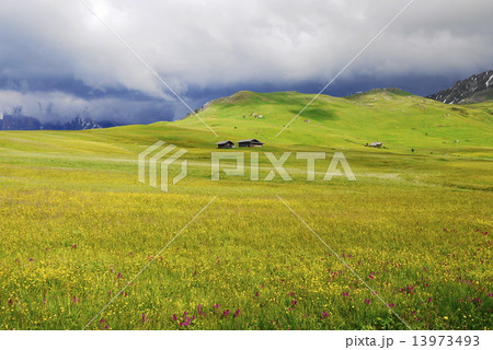 アルぺ・ディ・シウージ　alpe　di　siusi　　ザイザー・アルム　seiser　alm 13973493