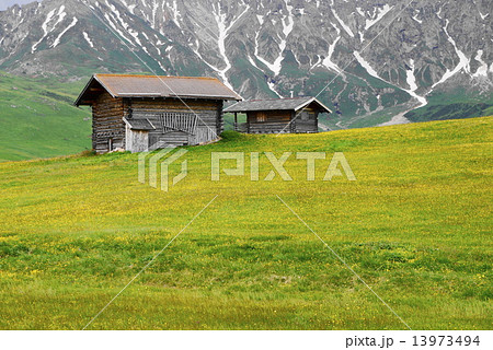アルぺ・ディ・シウージ　alpe　di　siusi　　ザイザー・アルム　seiser　alm 13973494