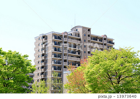 緑に囲まれたマンション 緑に囲まれたマンション 13973640