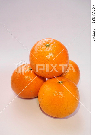 タンカン タンカン 13973657