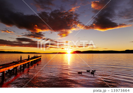 Lake Rotorua, New Zealand 13973664