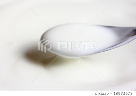 プレーンヨーグルト 13973675