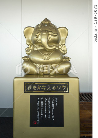 夢をかなえるゾウの写真素材 [13975071] - PIXTA