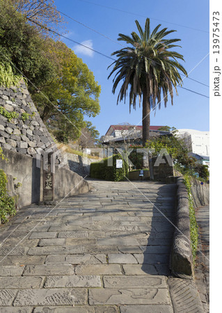 冬晴れのオランダ坂 13975473