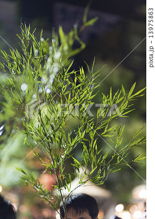 青い福笹 13975863